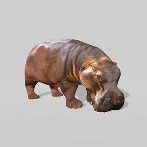 HIPPO OBJ 3D