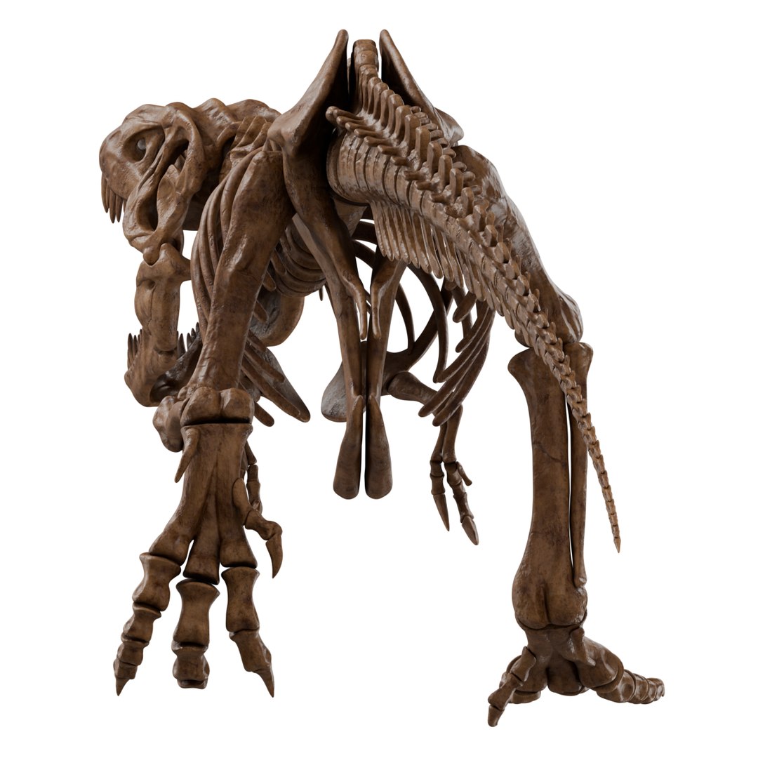Tyrannosaurus Rex Skeleton 02 A Model - TurboSquid 2529646