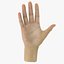 realistic female hand anatomy 3d max