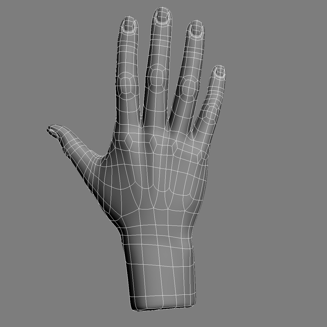 realistic female hand anatomy 3d max