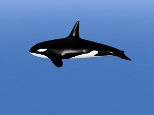 orca 3d lwo