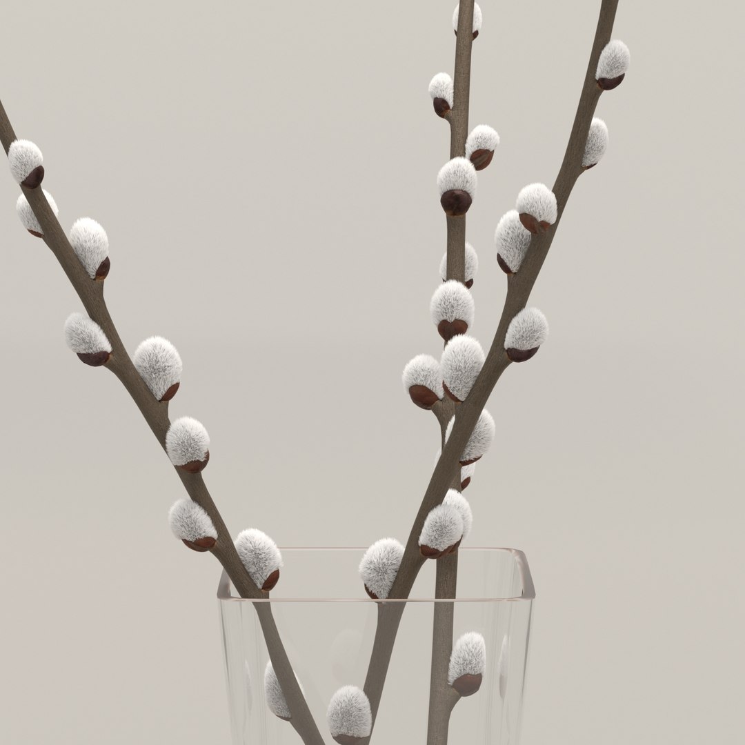 interior exterior willow twigs 3D model https://p.turbosquid.com/ts-thumb/SG/xdQZvH/2lWD3ANR/015/jpg/1584214968/1920x1080/fit_q87/38174d89ad4135e5fc78b6cba95835a47b54cb34/015.jpg