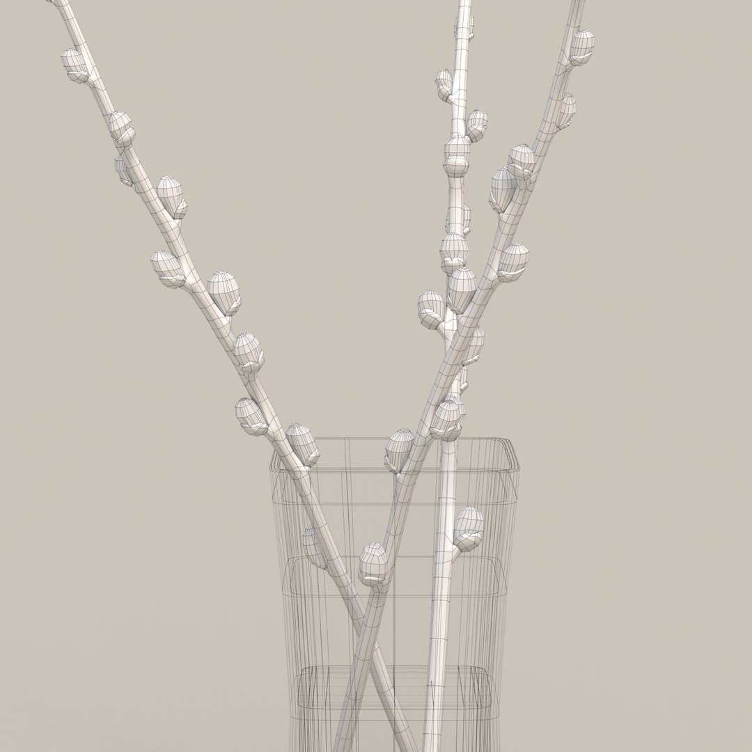 interior exterior willow twigs 3D model https://p.turbosquid.com/ts-thumb/SG/xdQZvH/GeKfRgpz/009/jpg/1584214882/1920x1080/fit_q87/27405c7e723a47f99ae595e6a378c7e52bbe4f53/009.jpg