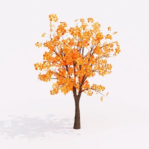 All Autumn Collection