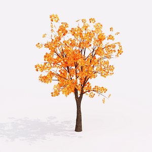 All Autumn Collection