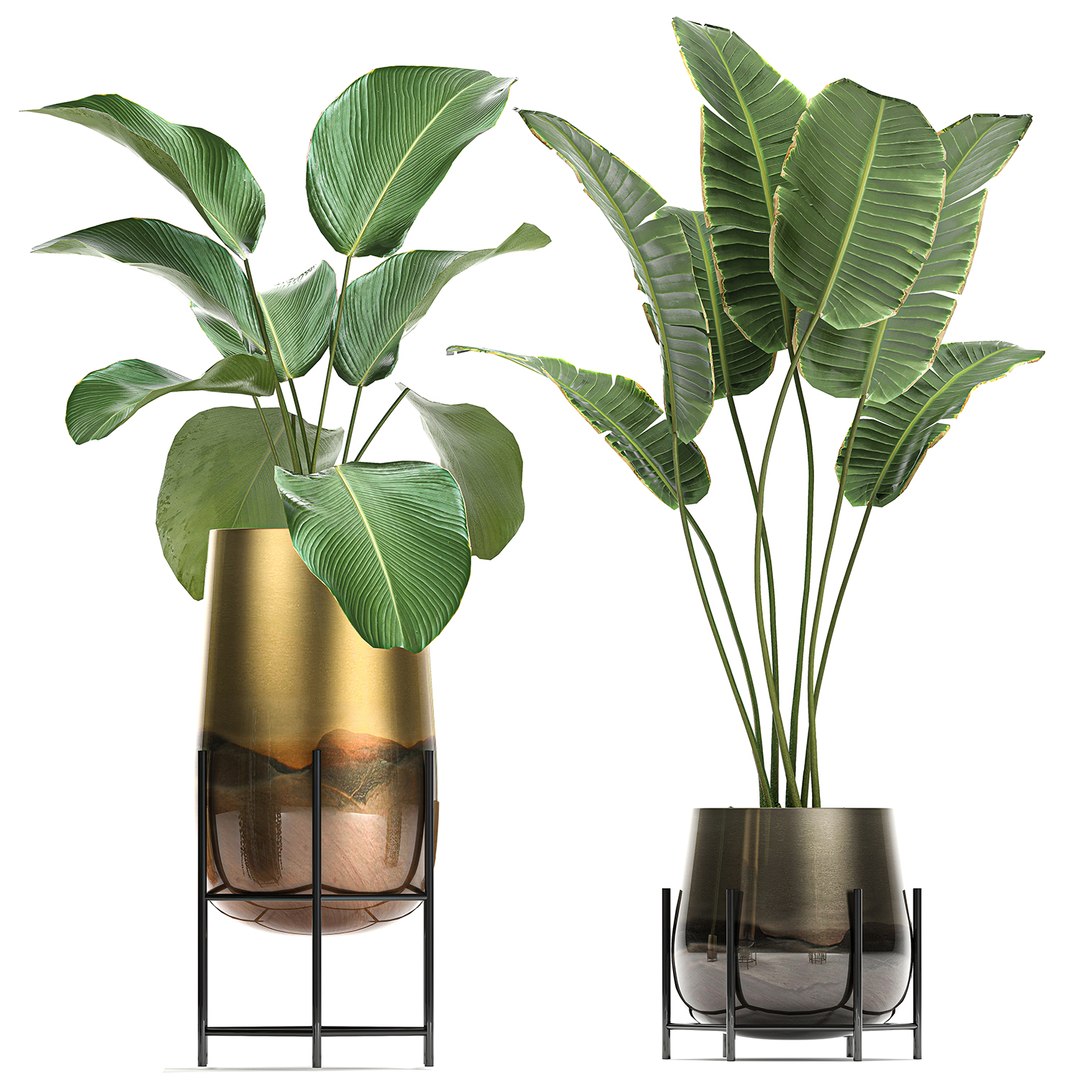 3D model plant houseplants https://p.turbosquid.com/ts-thumb/SH/7FBl8w/1cU282oq/plants2011202005/jpg/1605959573/1920x1080/fit_q87/64d4e97b5dc6c2b1d50f1542f2ddf0b05ad5fb84/plants2011202005.jpg
