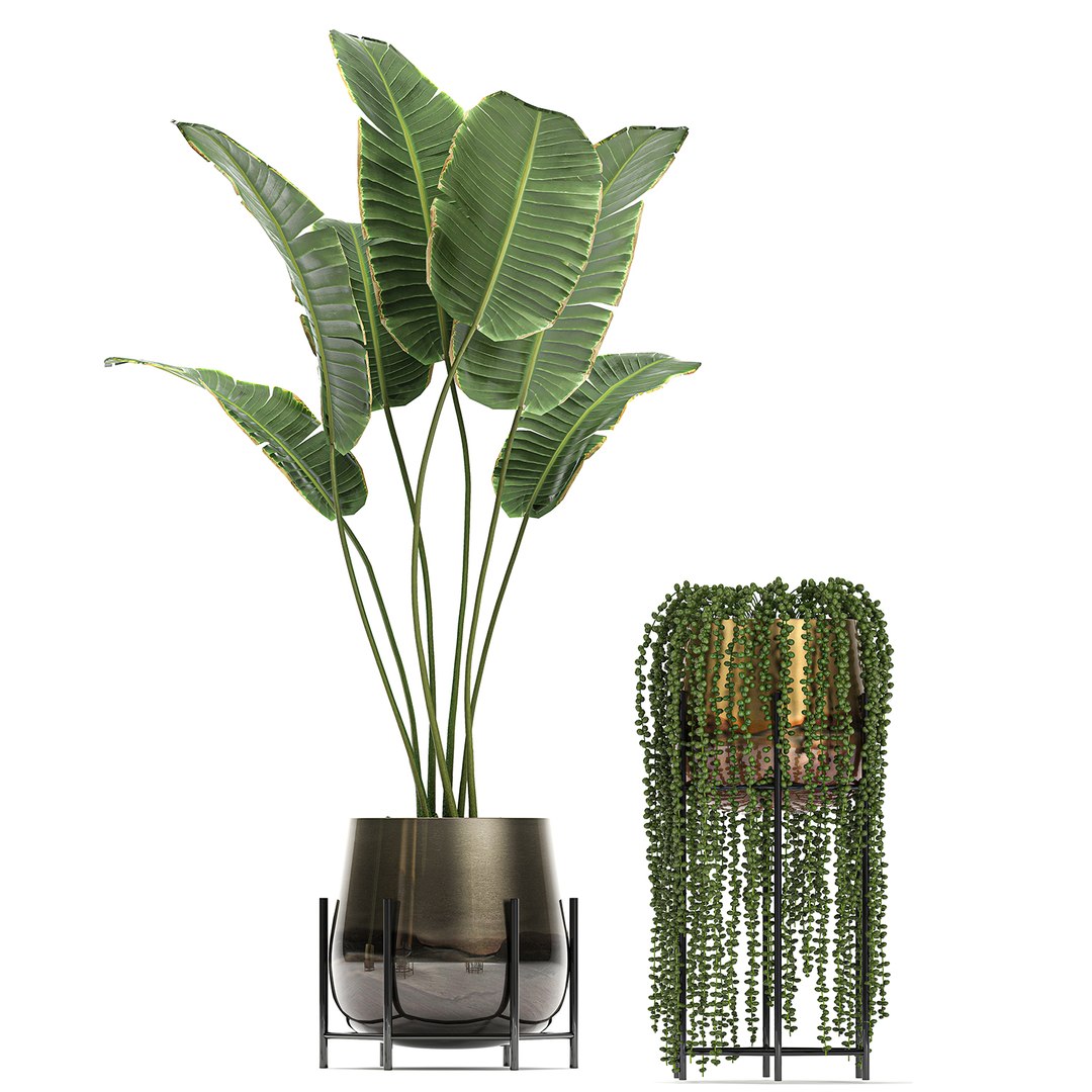 3D model plant houseplants https://p.turbosquid.com/ts-thumb/SH/7FBl8w/9jFhZW4H/plants2011202006/jpg/1605959573/1920x1080/fit_q87/9ef00c3a88ad3dfcdfd7831f22a7b63b4b1d99d3/plants2011202006.jpg