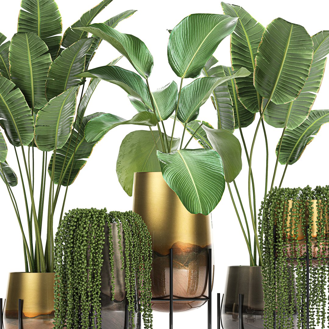 3D model plant houseplants https://p.turbosquid.com/ts-thumb/SH/7FBl8w/CaNZlGz5/plants2011202002/jpg/1605959572/1920x1080/fit_q87/832b2537e3757fd539dc24f8f622e55136372514/plants2011202002.jpg