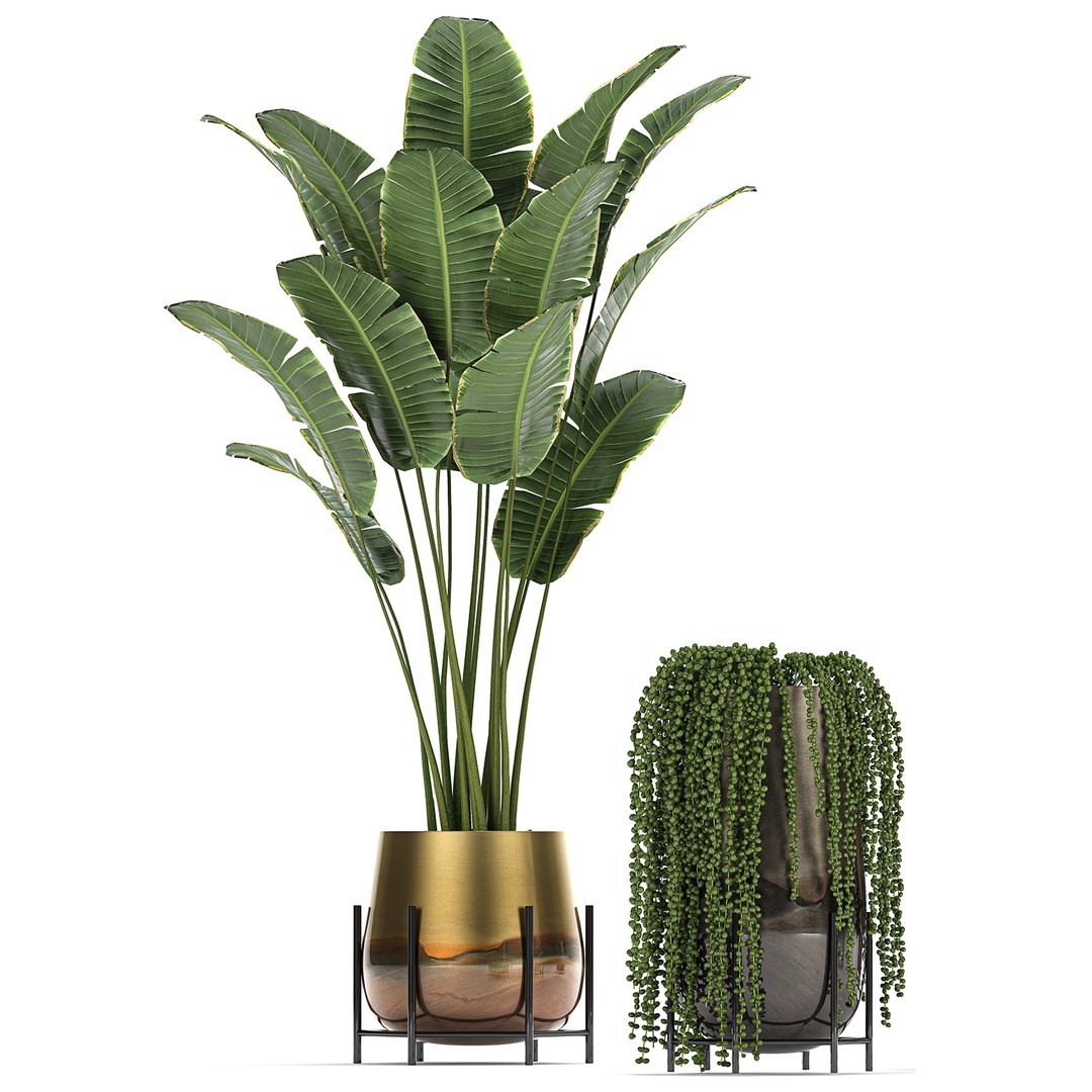 3D model plant houseplants https://p.turbosquid.com/ts-thumb/SH/7FBl8w/FgKGxSph/plants2011202003/jpg/1605959572/1920x1080/fit_q87/5856625cde52eb2b9a0bee5c80504fd883a959ad/plants2011202003.jpg