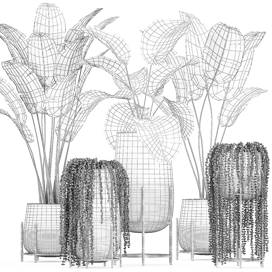 3D model plant houseplants https://p.turbosquid.com/ts-thumb/SH/7FBl8w/KIjDY7PD/plants2011202009/jpg/1605959573/1920x1080/fit_q87/14c8da1918f611e6dd48b20d9b140e3a7bf61aef/plants2011202009.jpg