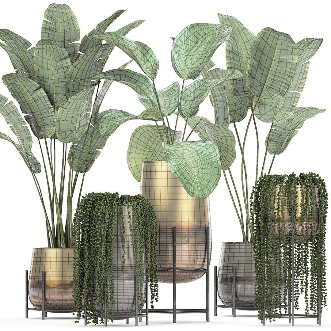 3D model plant houseplants https://p.turbosquid.com/ts-thumb/SH/7FBl8w/Vpjq1LTy/plants2011202008/jpg/1605959573/1920x1080/fit_q87/679118c20e764722184a5841d4da682494513db3/plants2011202008.jpg