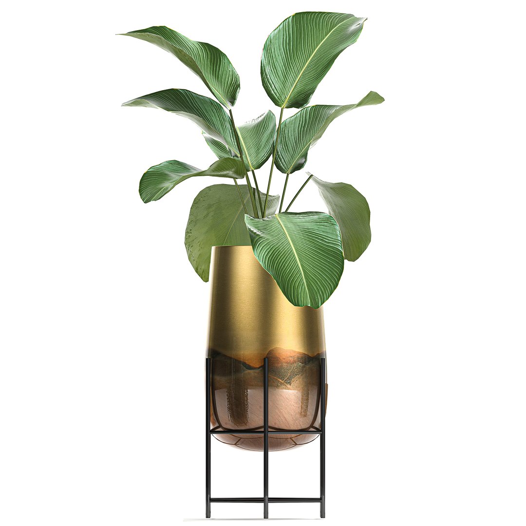 3D model plant houseplants https://p.turbosquid.com/ts-thumb/SH/7FBl8w/kUTp4JFw/plants2011202013/jpg/1605959573/1920x1080/fit_q87/0cb5c8e982554cfeb9a09c69708efd37cf17f042/plants2011202013.jpg