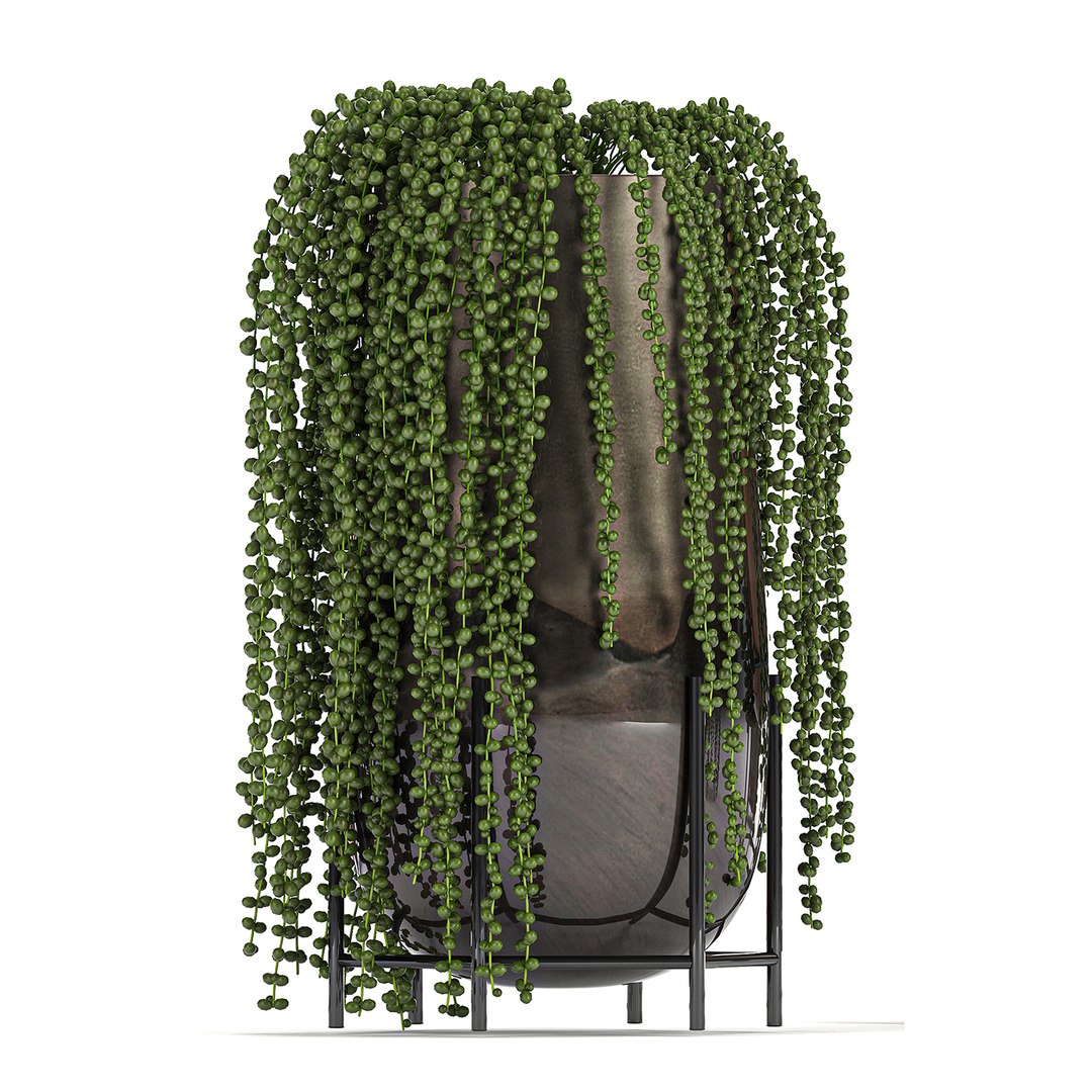 3D model plant houseplants https://p.turbosquid.com/ts-thumb/SH/7FBl8w/lNKb95Sd/plants2011202012/jpg/1605959573/1920x1080/fit_q87/706ff6e6166541f5c750d050a3c403834adfd736/plants2011202012.jpg