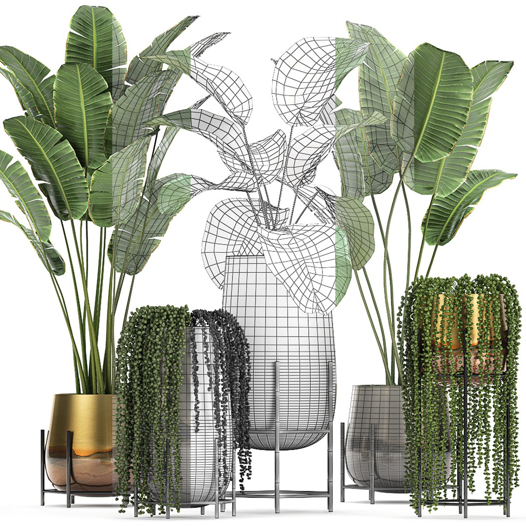 3D model plant houseplants https://p.turbosquid.com/ts-thumb/SH/7FBl8w/m3yG5Fbo/plants2011202007/jpg/1605959573/1920x1080/fit_q87/a9f1dcb67a6164f1762e25873dc38d53b5512c22/plants2011202007.jpg
