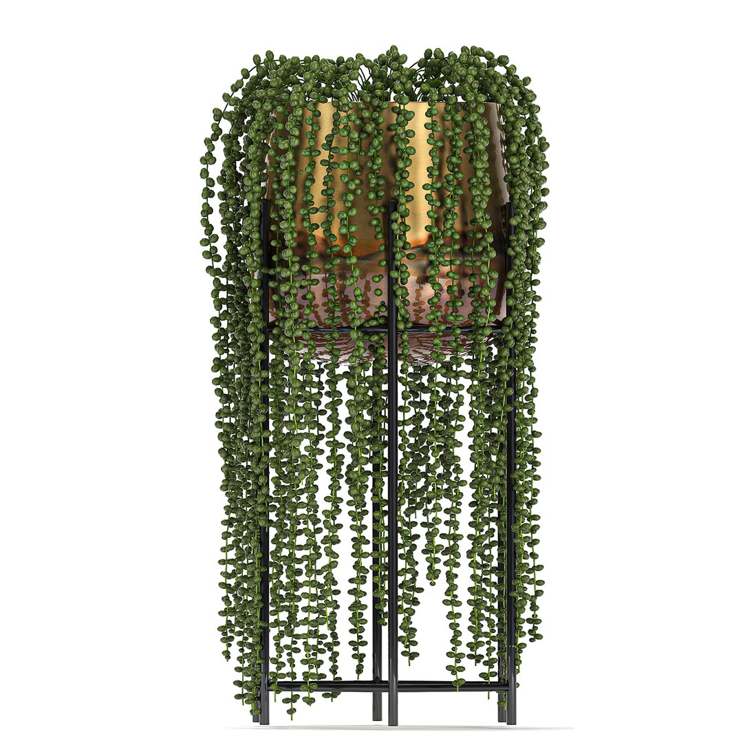 3D model plant houseplants https://p.turbosquid.com/ts-thumb/SH/7FBl8w/mKXUcUvt/plants2011202015/jpg/1605959573/1920x1080/fit_q87/a5c011ffbfbeba69a50a45ef971ccde52212b322/plants2011202015.jpg