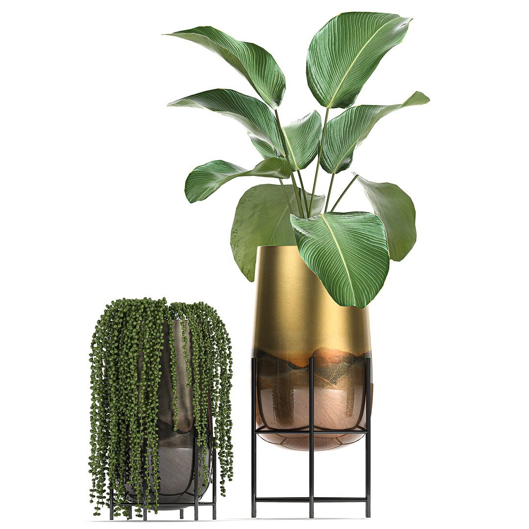 3D model plant houseplants https://p.turbosquid.com/ts-thumb/SH/7FBl8w/tbUmQ3L8/plants2011202004/jpg/1605959572/1920x1080/fit_q87/d6731af975770b31734fe4ef6fd2e949bd272bf8/plants2011202004.jpg