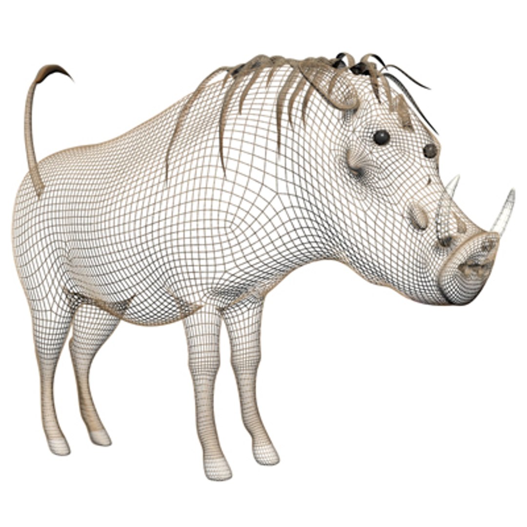 warthog 3d max https://p.turbosquid.com/ts-thumb/SH/DCdO9O/QlIZJ3HK/phacochere3/jpg/1157460416/1920x1080/fit_q87/4d4aff91333edecba2afec437afb7e1621698750/phacochere3.jpg