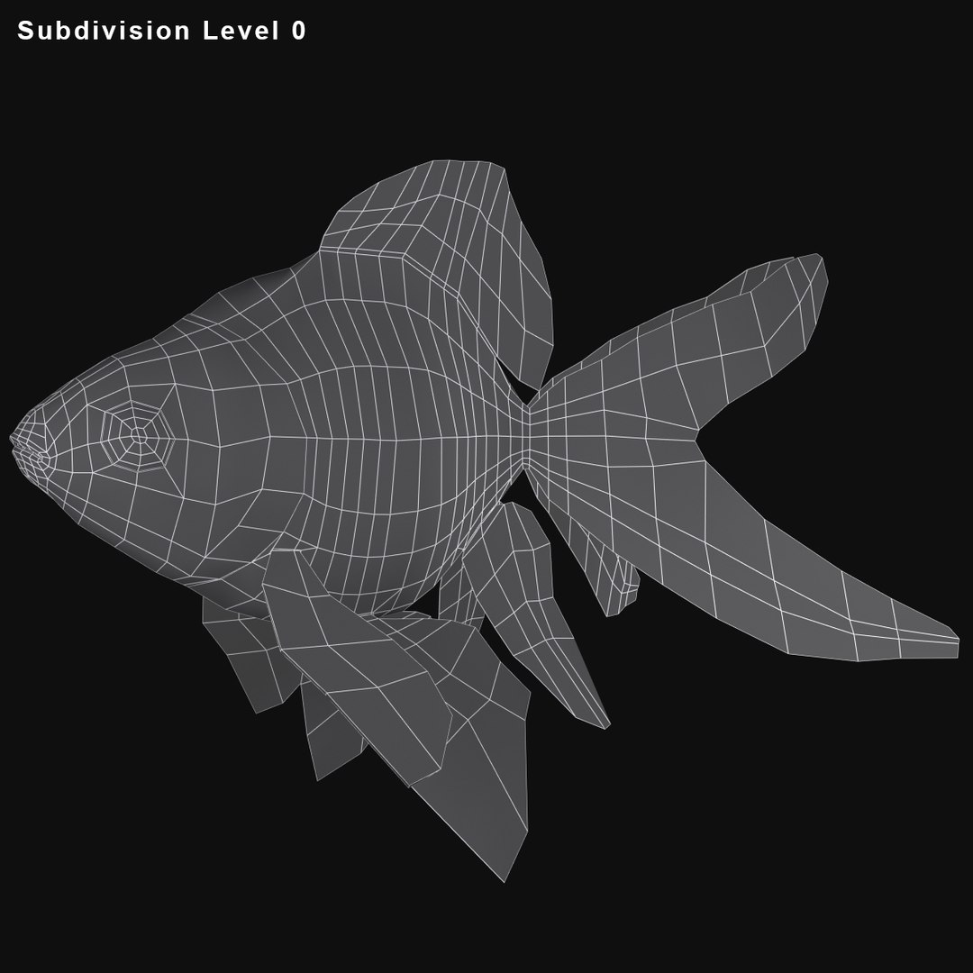 freshwater fish 3 3D model https://p.turbosquid.com/ts-thumb/SH/EIWRHm/24c16Cn6/ryukingoldfish_rr23/jpg/1536042815/1920x1080/fit_q87/6ace4c9a2ee243eef6a61cb4859b6770bfbd4ce4/ryukingoldfish_rr23.jpg