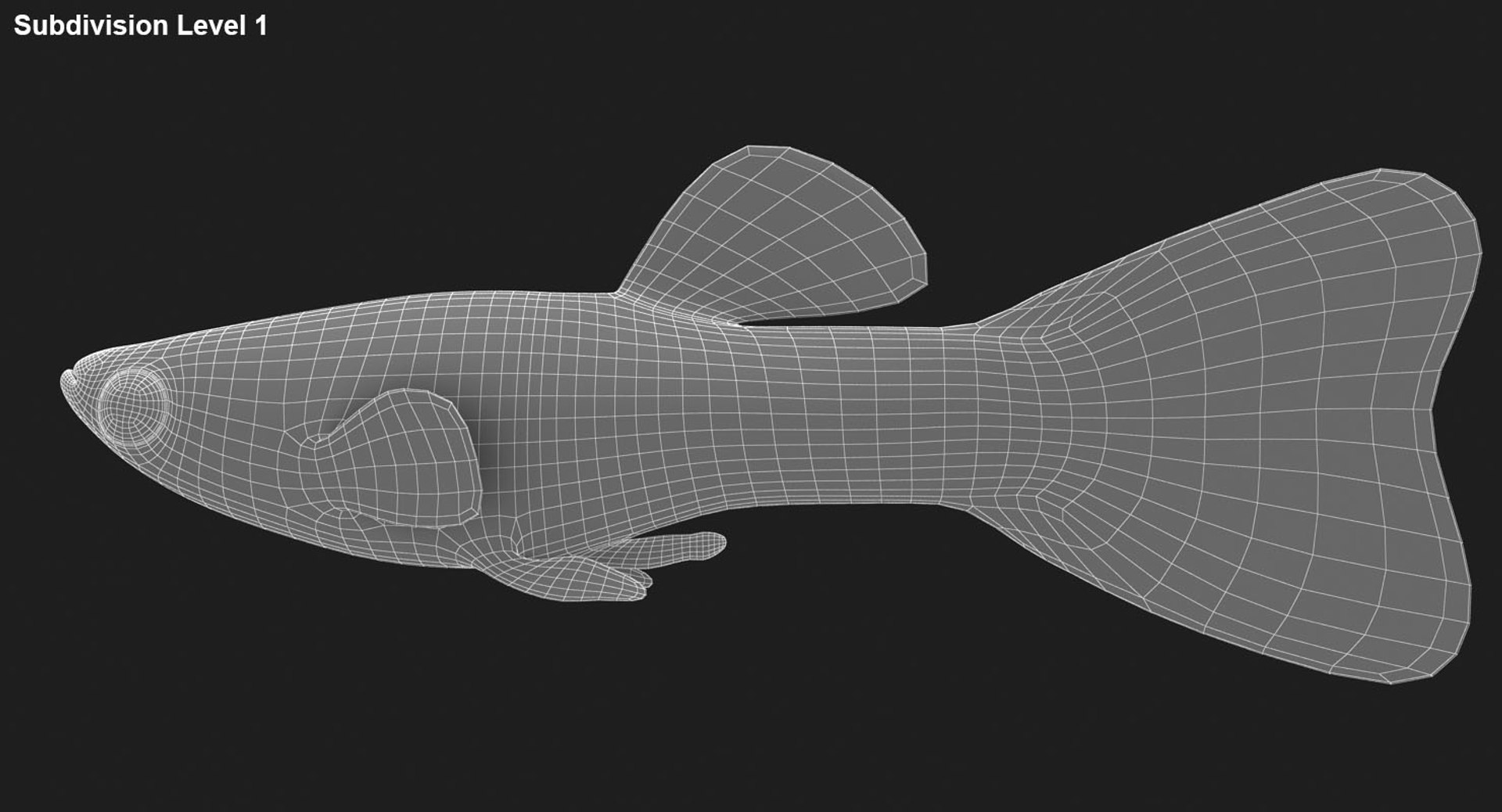 freshwater fish 3 3D model https://p.turbosquid.com/ts-thumb/SH/EIWRHm/9tVAbpcU/ryukingoldfish_rr31/jpg/1536042863/1920x1080/fit_q87/8e8e050ce62c55c9f6be949f2ae8c2cc7e007487/ryukingoldfish_rr31.jpg
