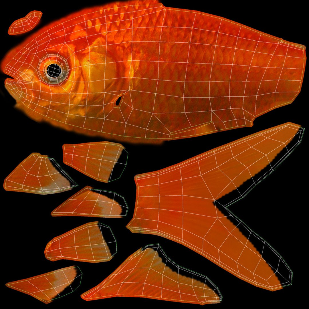 freshwater fish 3 3D model https://p.turbosquid.com/ts-thumb/SH/EIWRHm/C8K5PXOO/ryukingoldfish_rr37/jpg/1536042903/1920x1080/fit_q87/d41a58ea7e2595f1713baca2a9c7a3626f7cfced/ryukingoldfish_rr37.jpg