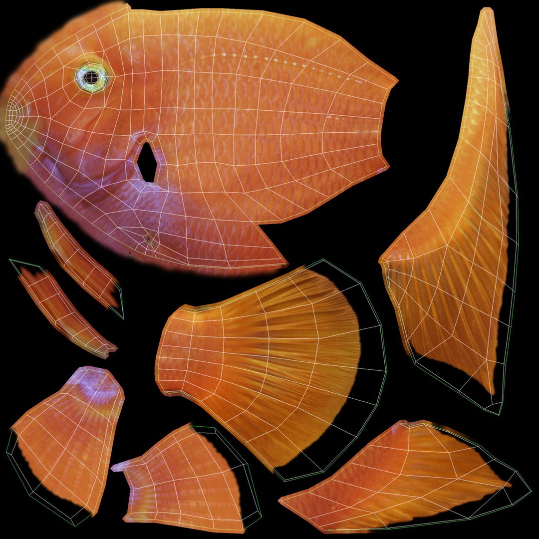 freshwater fish 3 3D model https://p.turbosquid.com/ts-thumb/SH/EIWRHm/MCBpkKwf/ryukingoldfish_rr37/jpg/1536001608/1920x1080/fit_q87/66557470e10cb29b18d5249f0e963560a0a73082/ryukingoldfish_rr37.jpg