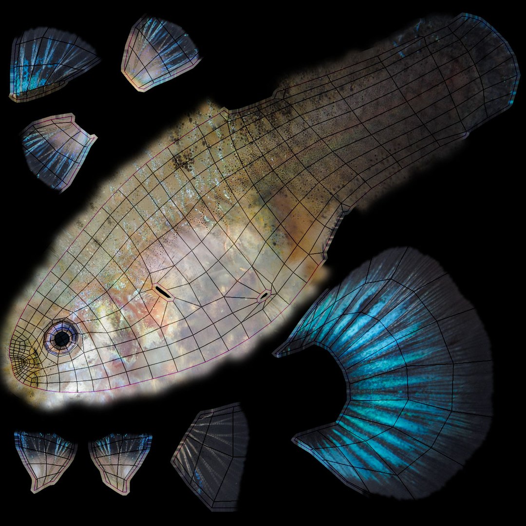 freshwater fish 3 3D model https://p.turbosquid.com/ts-thumb/SH/EIWRHm/SfEE5qXR/ryukingoldfish_rr37/jpg/1536042844/1920x1080/fit_q87/339eaeca55115eac53562662a79c0f79e836dfe9/ryukingoldfish_rr37.jpg