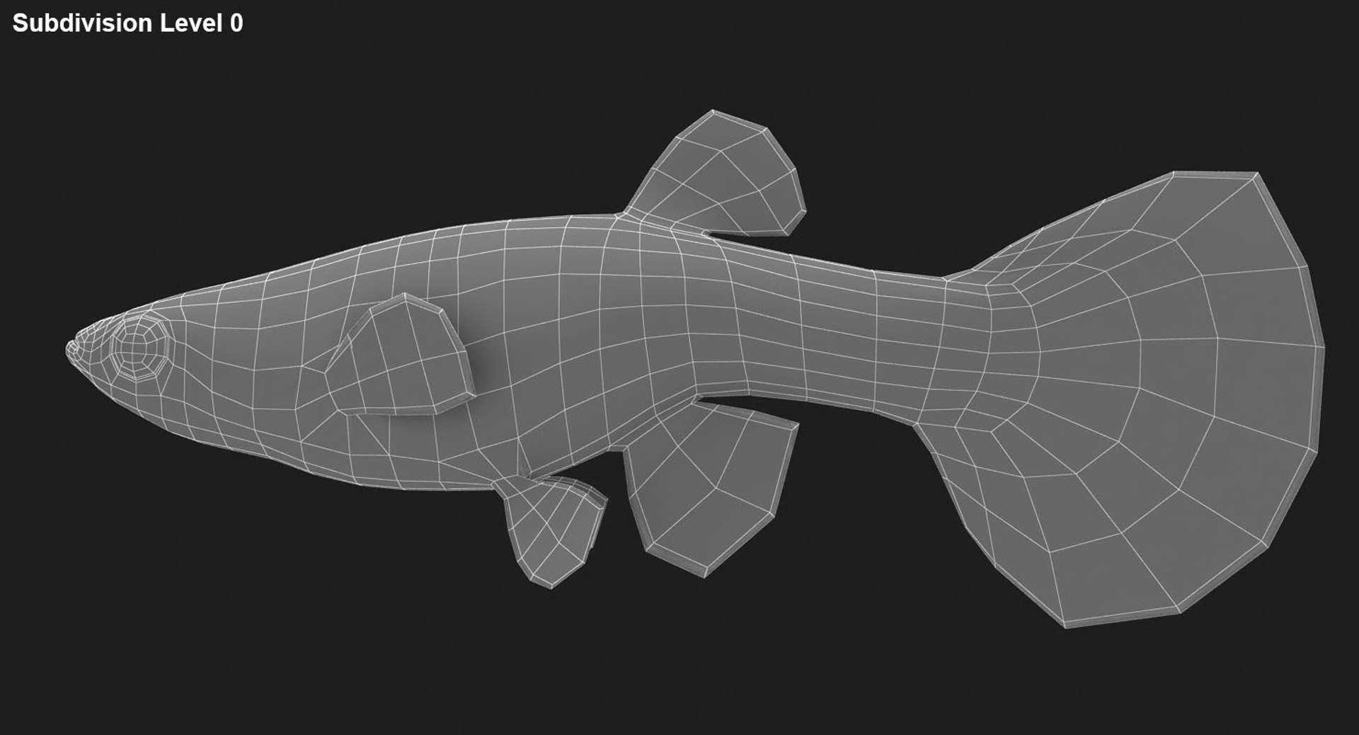 freshwater fish 3 3D model https://p.turbosquid.com/ts-thumb/SH/EIWRHm/TJX9SQsg/ryukingoldfish_rr29/jpg/1536042843/1920x1080/fit_q87/52063d9893d76dc39e6f3c5ac1cf943d41b192be/ryukingoldfish_rr29.jpg