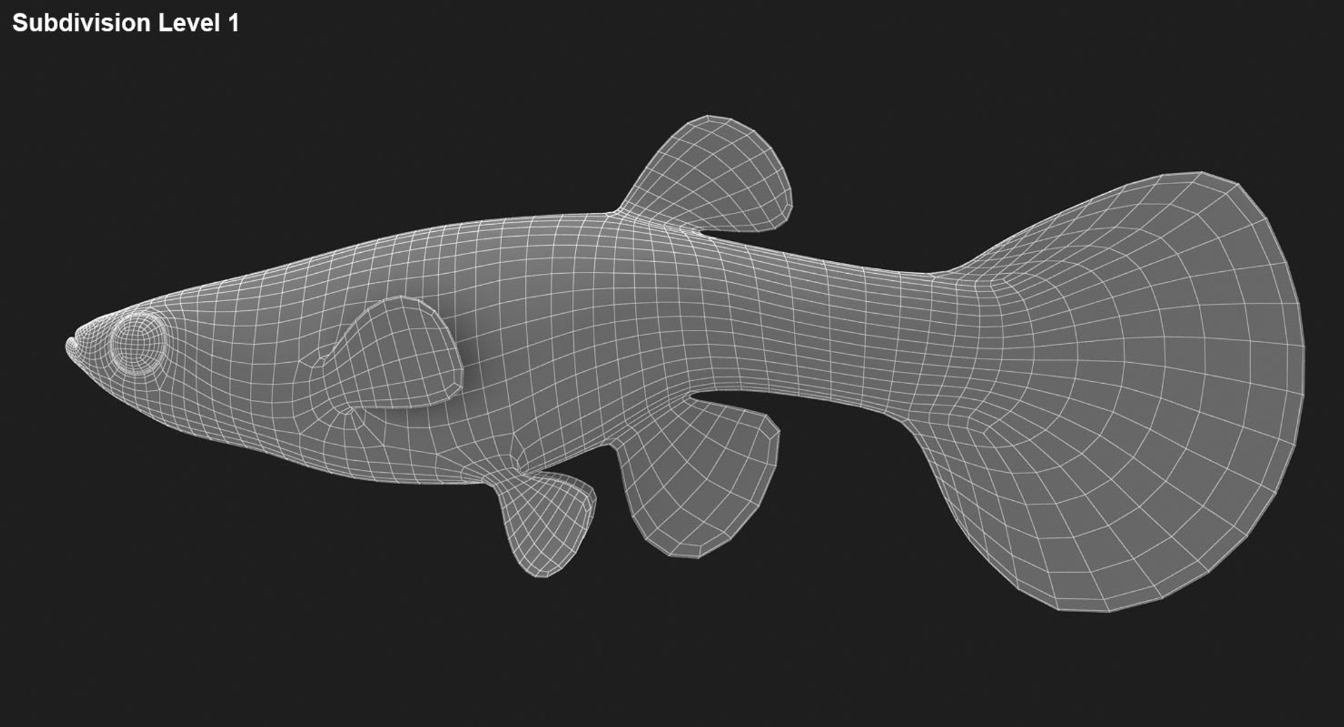freshwater fish 3 3D model https://p.turbosquid.com/ts-thumb/SH/EIWRHm/VafIsa4J/ryukingoldfish_rr31/jpg/1536042843/1920x1080/fit_q87/367745b81d26a6f23d0614504ddf30e0a31e74e4/ryukingoldfish_rr31.jpg