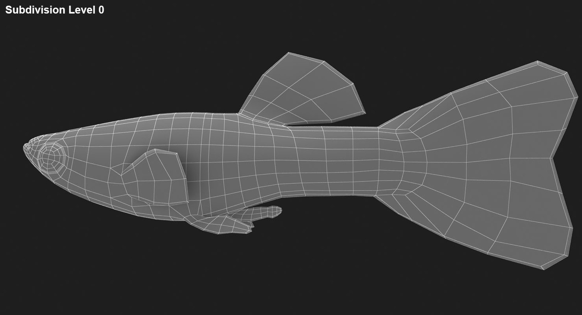 freshwater fish 3 3D model https://p.turbosquid.com/ts-thumb/SH/EIWRHm/vrVG6vm8/ryukingoldfish_rr29/jpg/1536042862/1920x1080/fit_q87/1a8f3f3350d602222f0b621fe7d0d7bdb58e43c6/ryukingoldfish_rr29.jpg