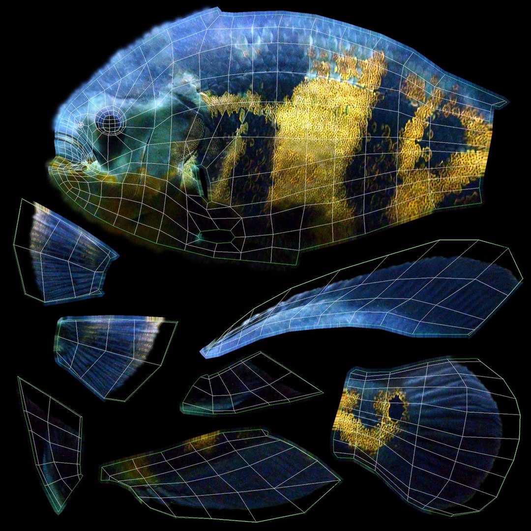 freshwater fish 3 3D model https://p.turbosquid.com/ts-thumb/SH/EIWRHm/wMms0f1x/ryukingoldfish_rr37/jpg/1536001571/1920x1080/fit_q87/d66dd4d56a3fe6bdfe2a9263eba316dbc35fb5ba/ryukingoldfish_rr37.jpg