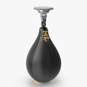Speed Bag