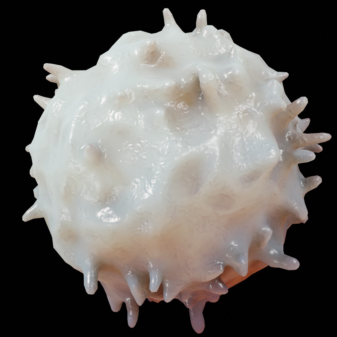 3D lymphocyte blood cells https://p.turbosquid.com/ts-thumb/SH/Nqu5tg/LGP9KPXN/6/png/1607179049/1920x1080/fit_q87/20d69e22c88e5d530b94d42d311619272bac6f0a/6.jpg