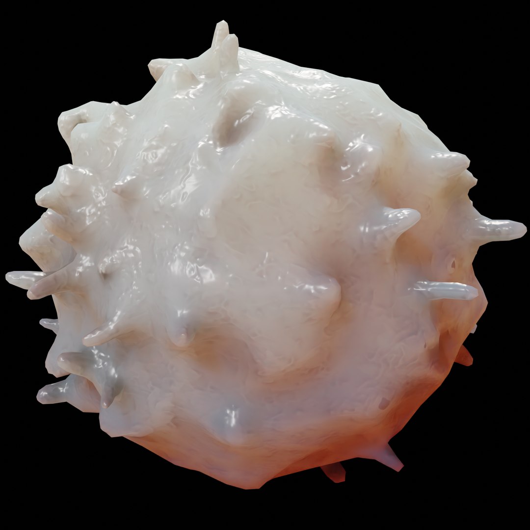 3D lymphocyte blood cells https://p.turbosquid.com/ts-thumb/SH/Nqu5tg/WCodqeYB/5/png/1607179049/1920x1080/fit_q87/6fffb8960749db3298410428fb6dc5221448fb2b/5.jpg