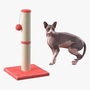 3D Rigged Sphynx Cat with Cat Scratching Post Collection model