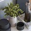 kitchen accessories018