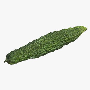 Bitter Gourd Low Poly