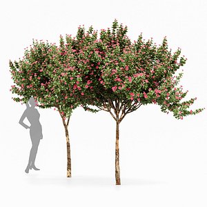 3D model Orchid 2 Trees Fragrant Flower