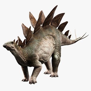 Stegosaurus