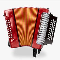 Button accordion