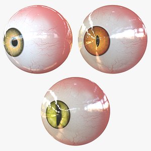 3D real eyes realistic model