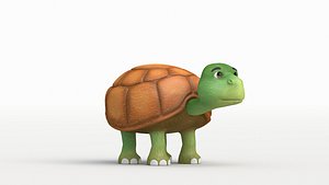 Turtle 3D
