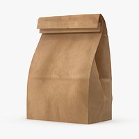 Brown Paper Lunch Bag