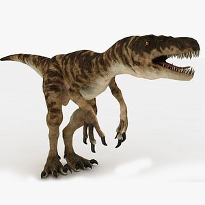 Raptor Rigged and Animated 3D model