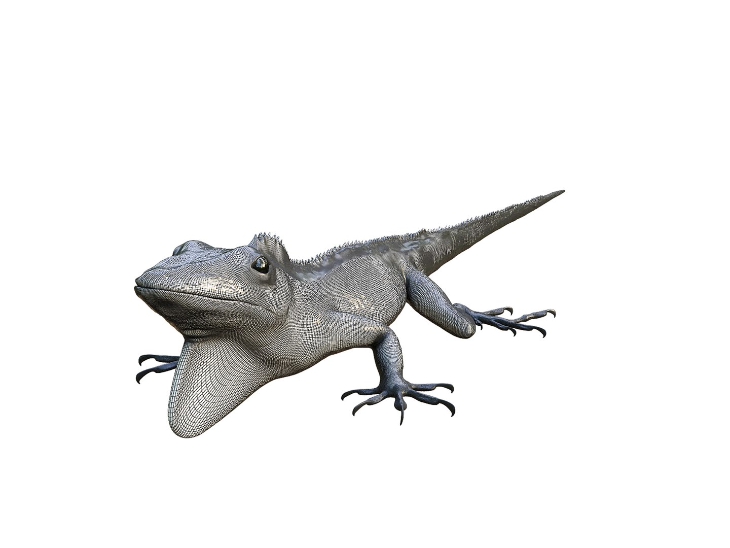 3D Chameleon https://p.turbosquid.com/ts-thumb/SI/1HujcB/aN/a5/jpg/1780045193/1920x1080/fit_q87/78a46264ba200b2959dd44e3d4c2756d8c2edb49/a5.jpg