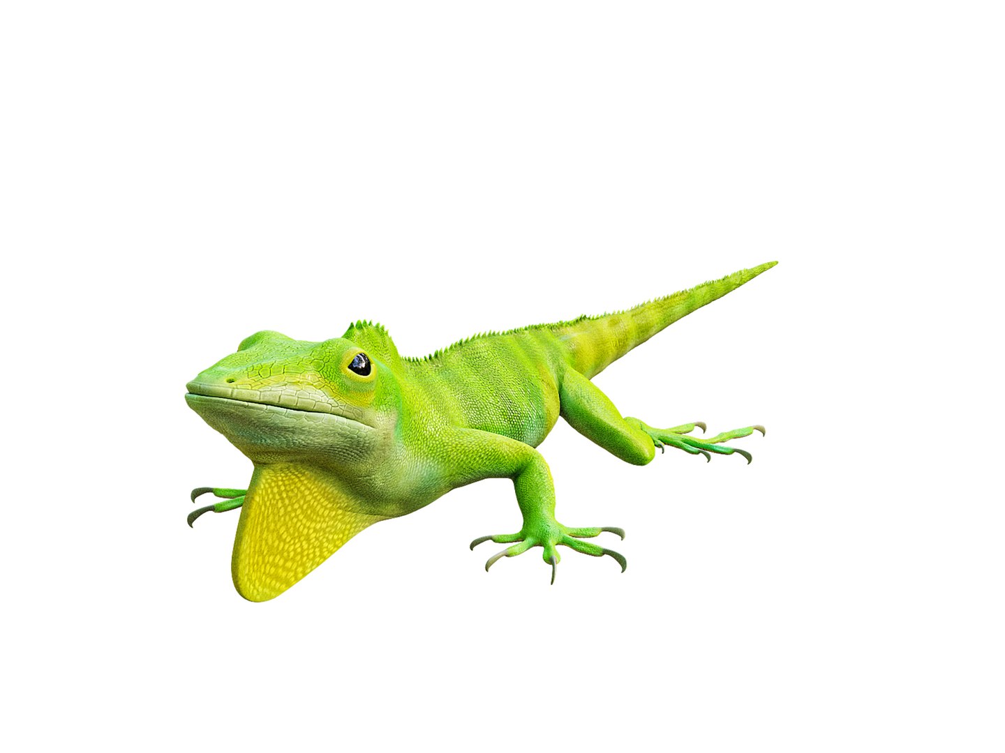 3D Chameleon https://p.turbosquid.com/ts-thumb/SI/1HujcB/rN/a2/jpg/1780045174/1920x1080/fit_q87/c64930381e1eed825bda5dc5dd2ff2b809b07a48/a2.jpg