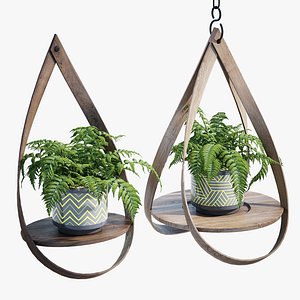3D Loop Collection
