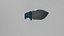 Busse Hell razor