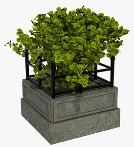 3D tree plant street model