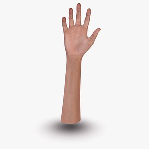 human hand max