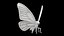 Butterfly 3D Print Model Detailed